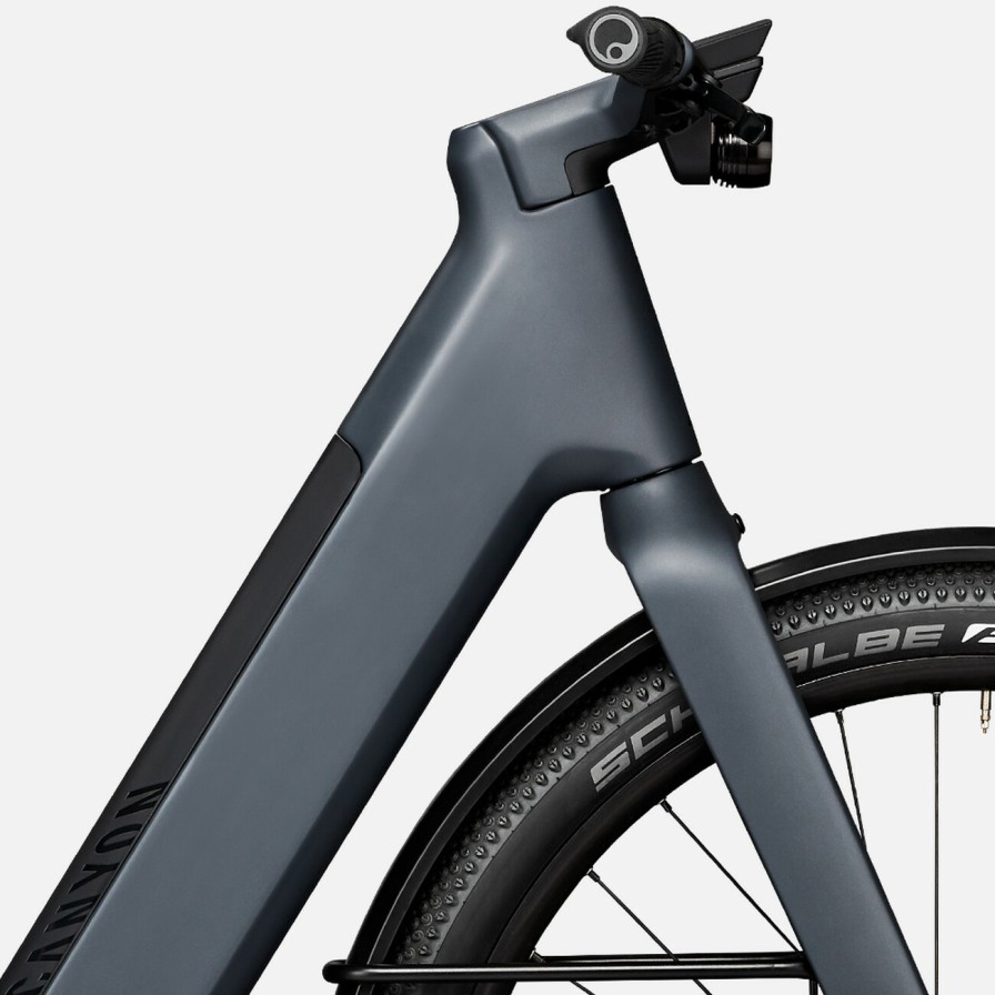 Canyon Precede:On Cf 9 Step-Through | Citybikes