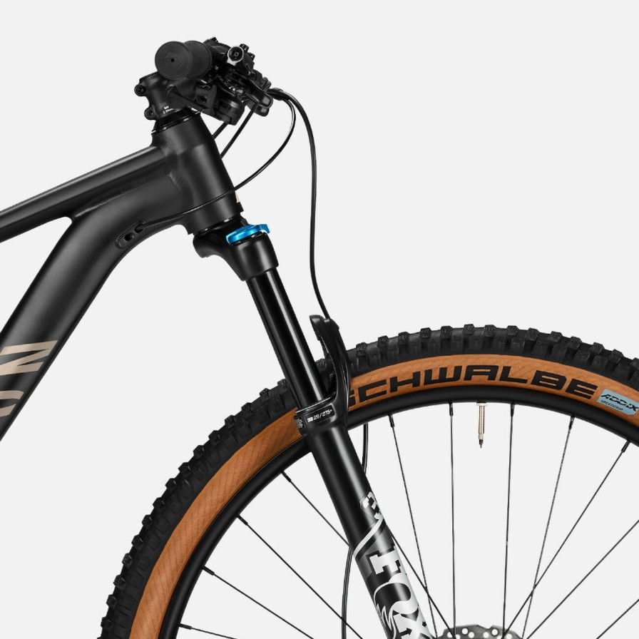 Canyon Grand Canyon 8 | Cross-Country