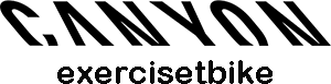 Exercisetbike